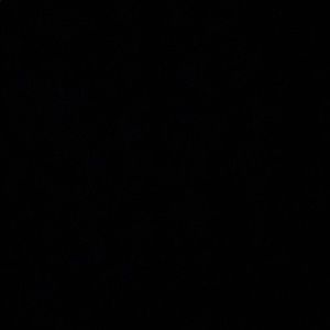 Meet your Posher, Haylie